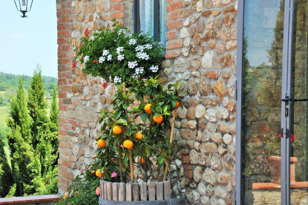 Agriturismo La Villa Romita Tavarnelle Val di Pesa Ngoại thất bức ảnh