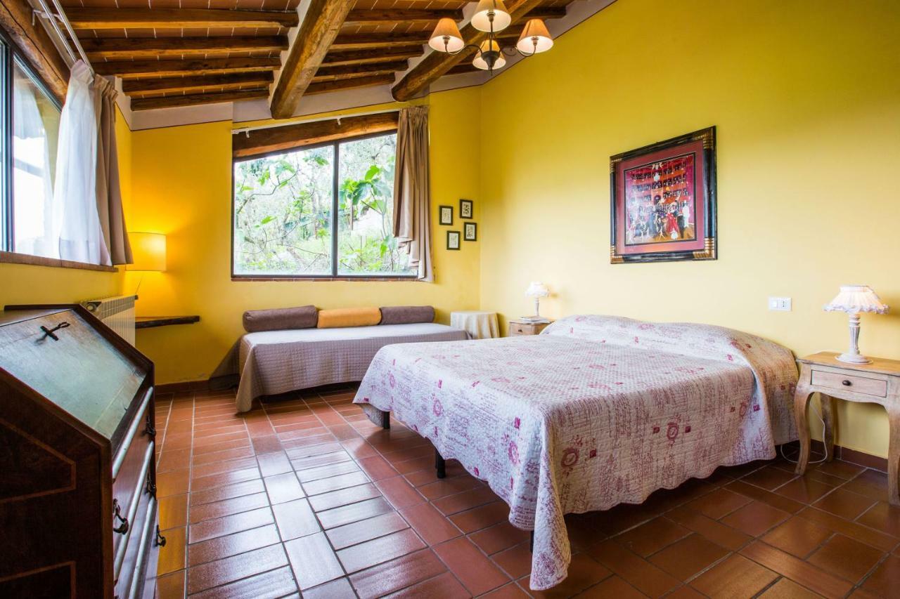 Agriturismo La Villa Romita Tavarnelle Val di Pesa Ngoại thất bức ảnh